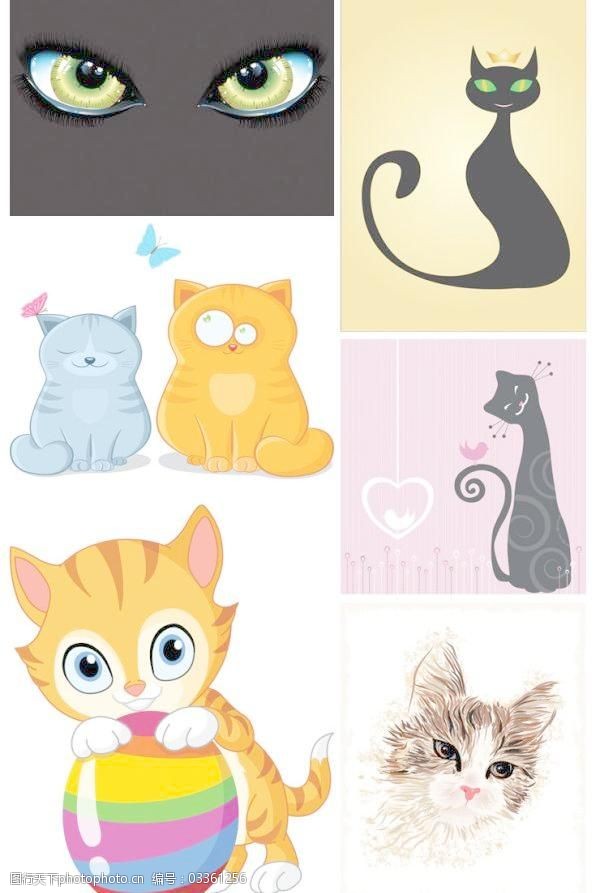 怎样预防猫咪患耳螨:守护小猫的听力与健康